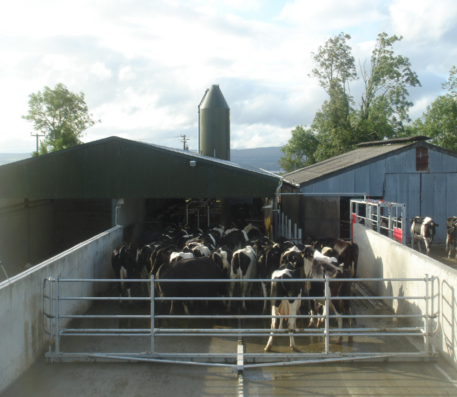 Pearson Commander Crowd Gate , Pearson Milking Technology, Pearson Milking Machine