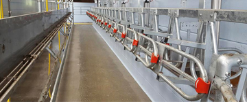 Pearson Milking Technology, Pearson Milking Machine, Rotary Milking Parlour, Milking Parlour, Pearson Rotary