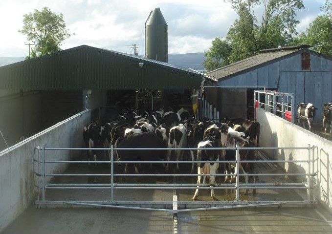 Pearson Milking Technology, Commender Crowd Gate