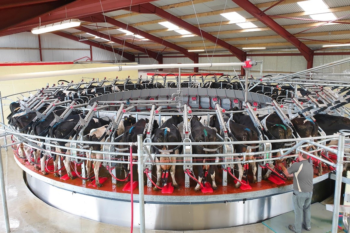 Pearson Rotary Parlour, Pearson Milking Technology , Pearson Milking Machine, Rotary Milking, Rotary Milking Parlour, Milking Parlour