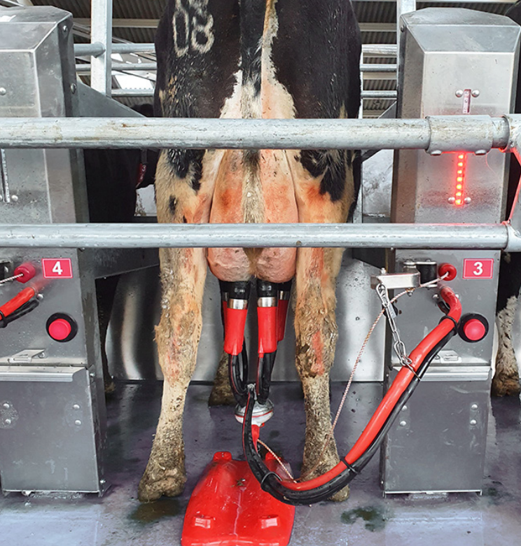 Pearson Milking Technology, Rotary Milking Swing Arm System